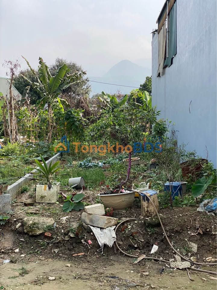 Đất Nền TDC Hợp Xuân Quận 12 - 100m² Sổ Hồng Riêng, Giá Tốt