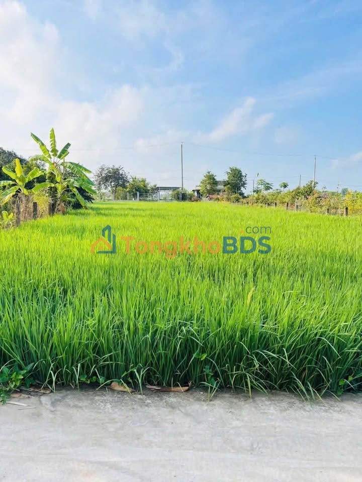 Land Nguyễn Thị Lầu 135m² giá 450 triệu - Sổ đỏ chính chủ