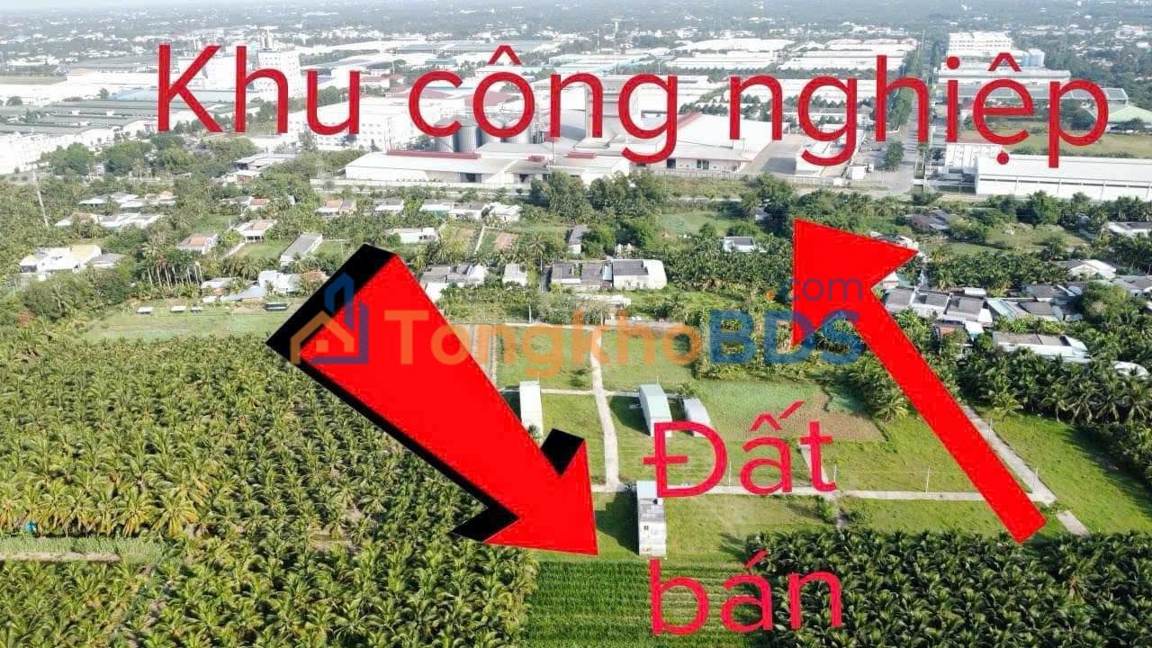 Đất nền KCN Tân Hương Long An 100m² 490-560tr - Sổ đỏ chính chủ