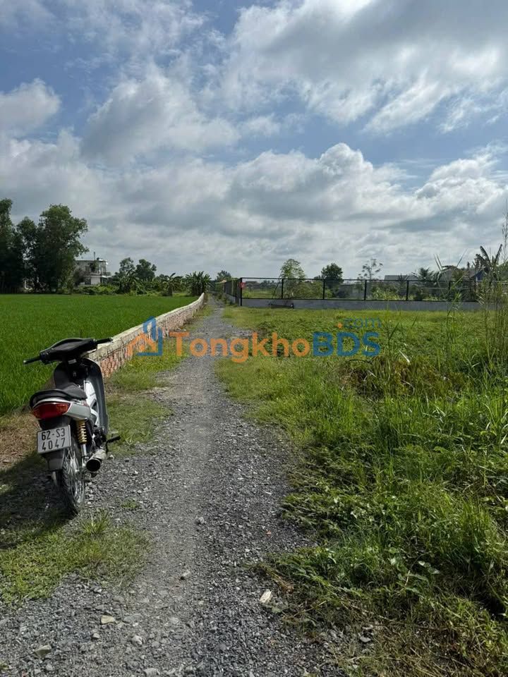 Đất nền Mỹ Yên Bến Lức 99m² giá 980 triệu - Sổ đỏ chính chủ