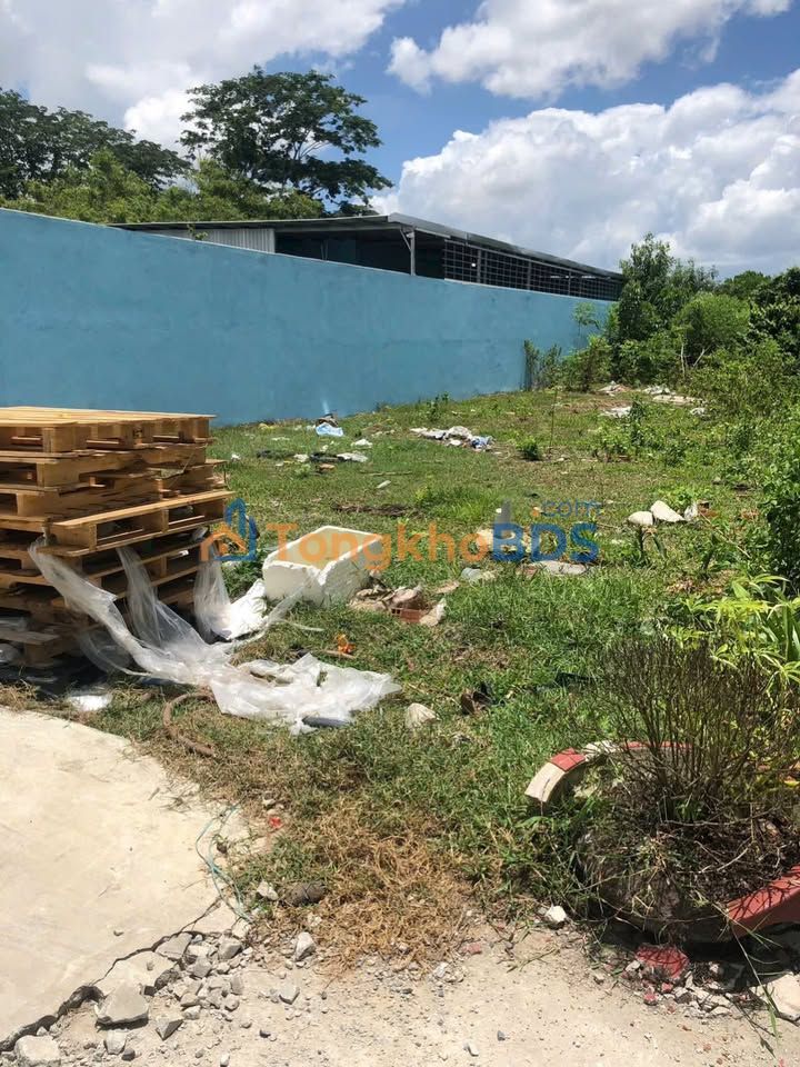 Đất Thổ Cư Sổ Hồng Riêng Đức Hòa Long An - 370m² Giá 1.6 Tỷ