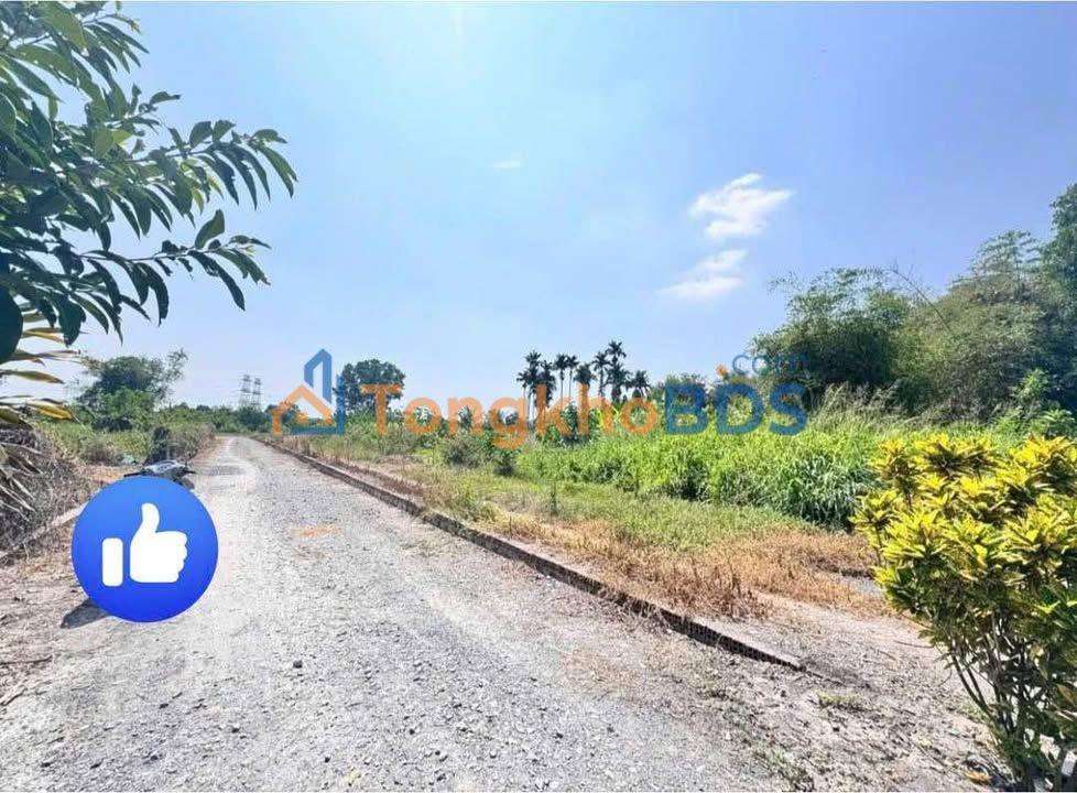 Đất Thổ Cư Sổ Hồng Riêng Đức Hòa 135m² - Giá Tốt 560 Triệu