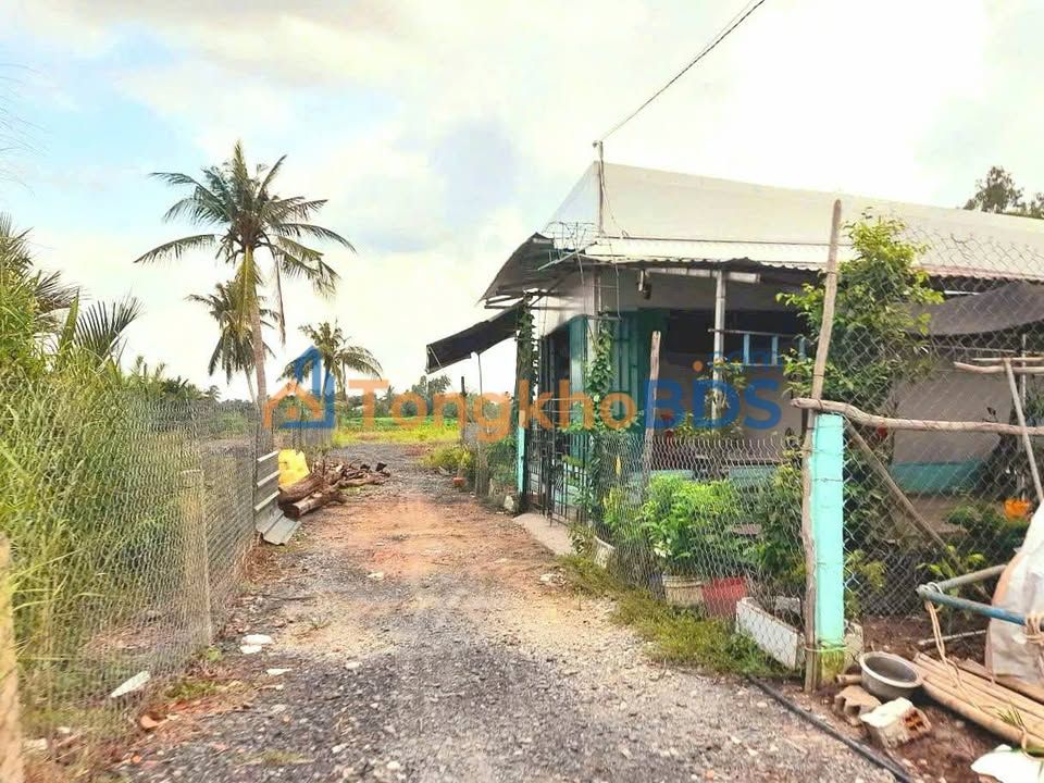 Đất vườn Nhị Thành Thủ Thừa 605m² 590tr - Đường to ô tô