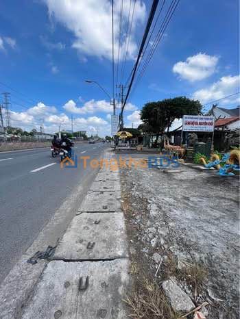 Bán Đất Mặt Tiền QL1A Thủ Thừa - 230m² Kinh Doanh Đắc Lợi - 3.6 Tỷ