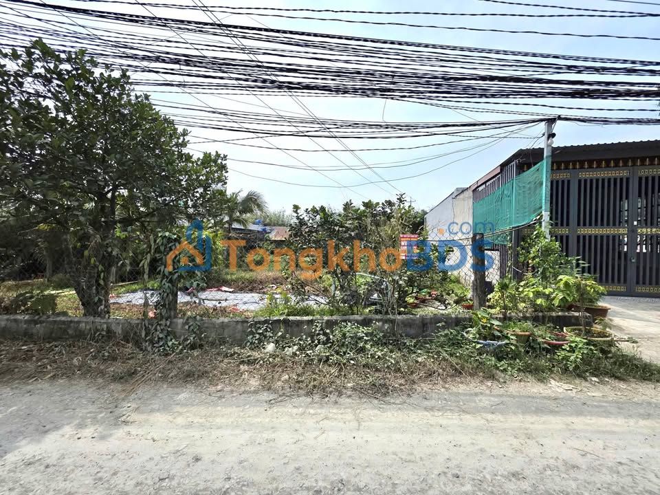 Đất Nền Sổ Hồng Riêng, Đức Hòa Long An - 310m² Giá 2.6 Tỷ