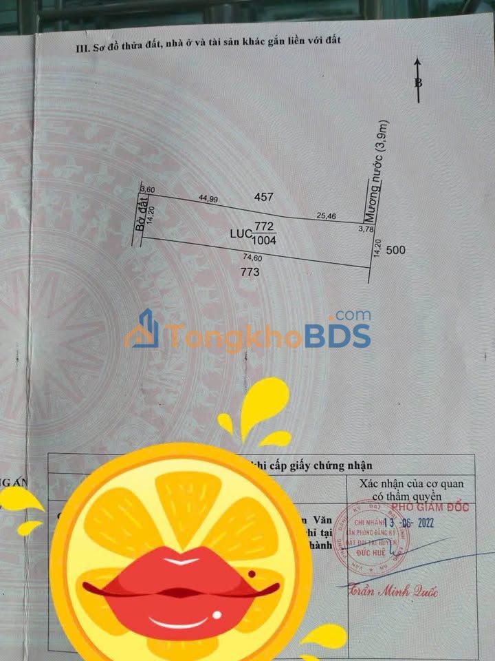 Đất Vườn Long An 1004m² - Giá Tốt 350 Triệu, View Kênh Mát Mẻ