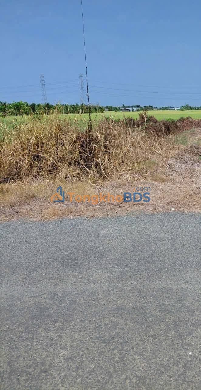 Đất Thổ Cư Mặt Tiền Nguyễn Văn Dư, Tân Châu - 690 Triệu/150m²