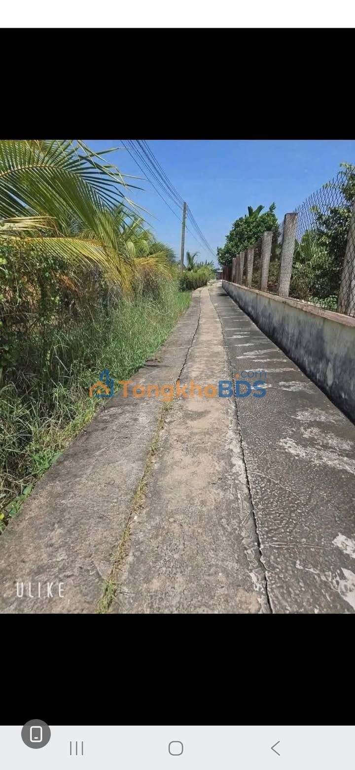 Đất Thổ Cư Dương Xuân Hội, Long An - 115m² Giá 280 Triệu - Sổ Hồng Sẵn Sàng