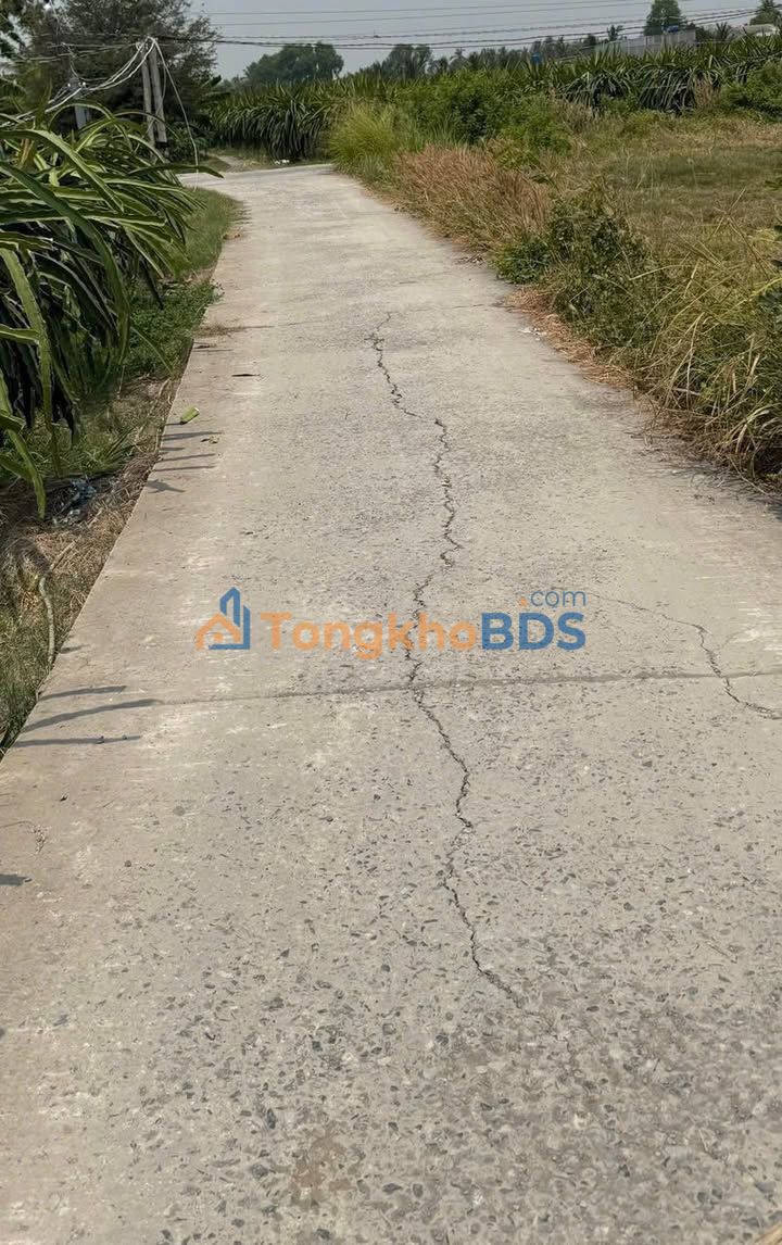 Bán Đất Thổ Cư Sổ Hồng Riêng 150m² - Xã Thuận Mỹ, Tây Ninh