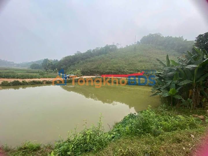 Đất nền Phú Thọ 1588m² sổ hồng sẵn - Giá sốc 150 triệu