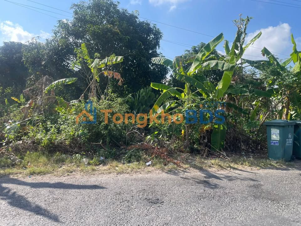 Đất QL 53B Khóm Giồng Giếng 246m² 1.25 tỷ - Thổ cư 100%