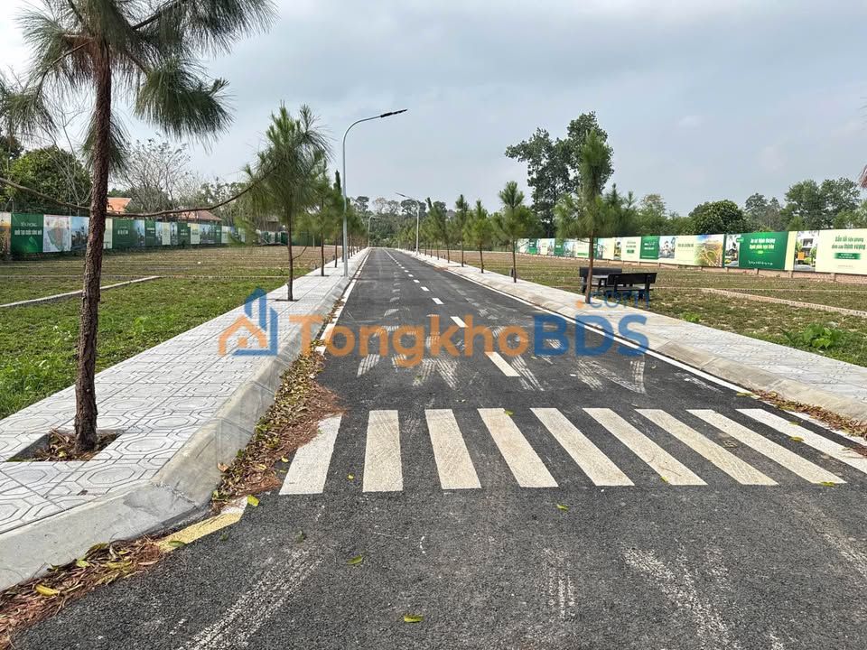 Đất nền Cổ Loa Đông Anh 100m² 2 tỷ - Pháp lý rõ ràng