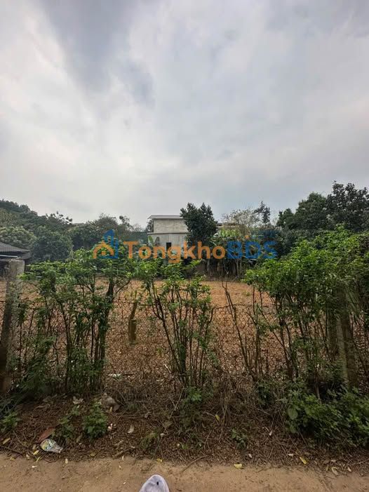 Đất nền Thôn 1 Lưỡng Vượng, Tuyên Quang - 248m², ô tô tránh, giá dưới 2 tỷ