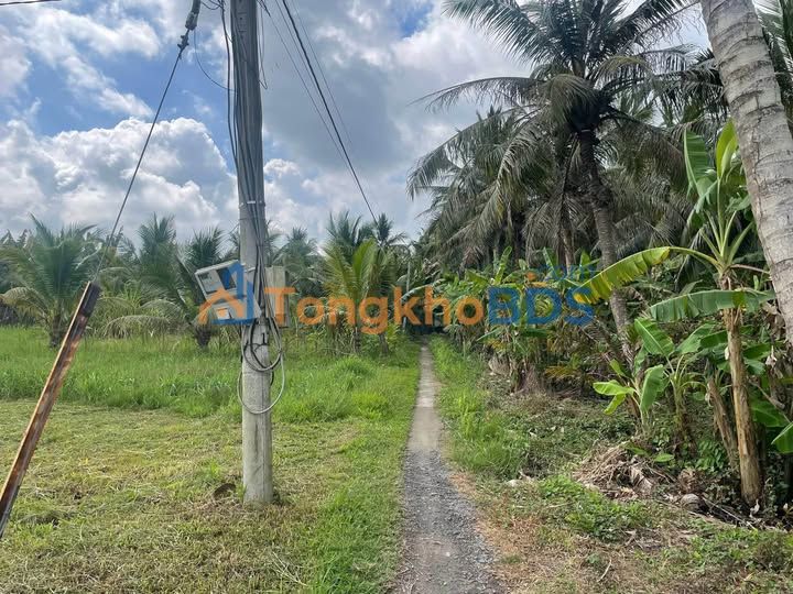 Bán Gấp 2 Lô Đất Thổ Cư 119m² Mặt Tiền Đường Đá Xanh, Chợ Gạo, Tiền Giang - 210 Triệu