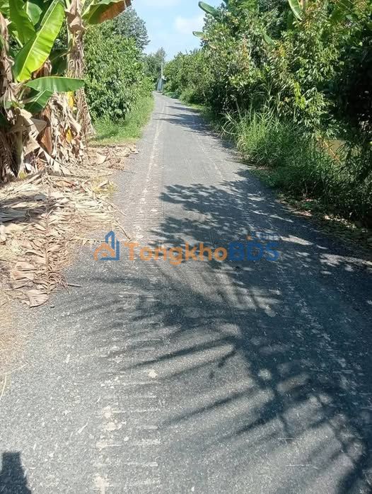 Bán Gấp Đất Vườn Thanh Mỹ, Đồng Tháp – 36ha Mặt Tiền Sông, Giá 30 Tỷ