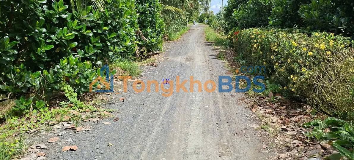 Đất Vườn Đồng Tháp 320.000m² - Sổ Hồng Rõ Ràng, Đầu Tư Trang Trại