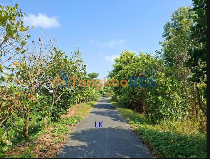 Đất Nền 150m² Sổ Đỏ 100% Thổ Cư - Giá 290 Triệu Tại Cao Lãnh