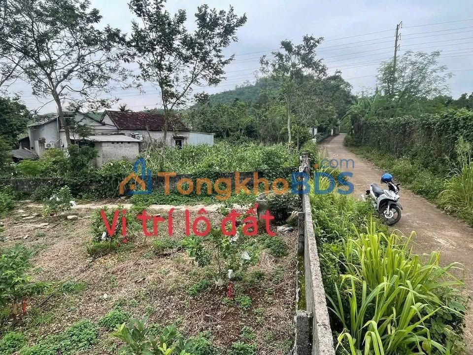 Đất Nghĩa Sơn Nghĩa Đàn 360m² 300 triệu - Sổ đỏ chính chủ