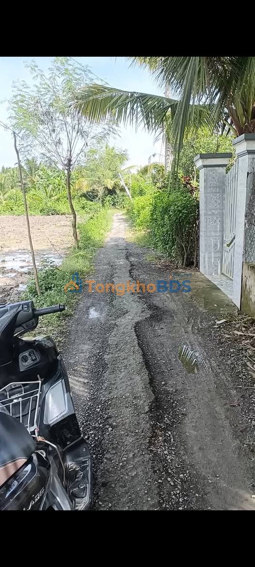 Đất Nền Hồng Ngự, Đồng Tháp: 187m² Hướng Tốt, Giá 3xx Triệu - Sẵn Sổ