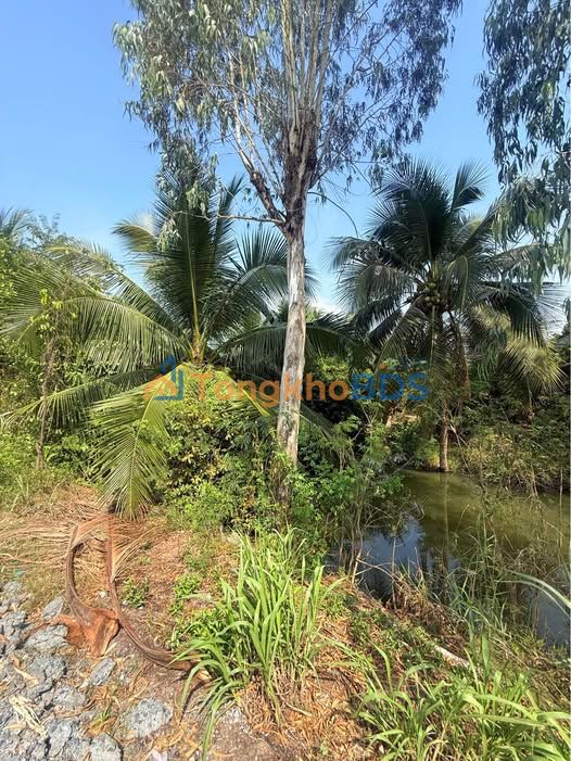 Đất Mặt Tiền ĐH26B Mỹ Tho 600m² - Sổ Đỏ Thổ Cư 100% - Giá Đầu Tư 2.2 Tỷ