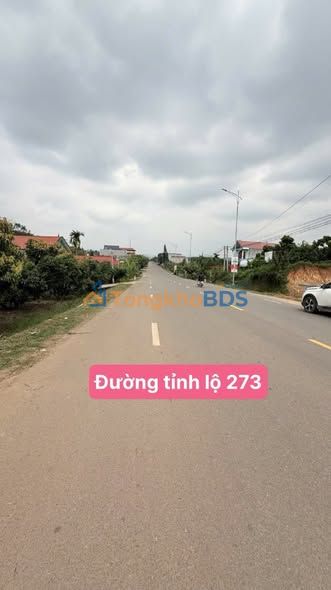 Đất nền Lục Ngạn 125m² sổ hồng - Giá F0 1.3 tỷ, kinh doanh cực đỉnh TL273