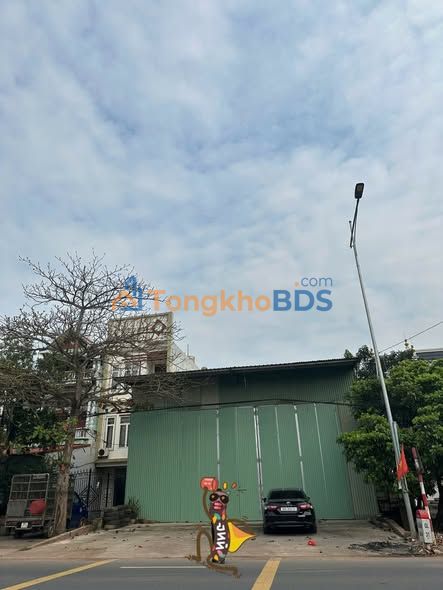 Bắc Giang: Đất MT Quốc lộ 31 Lục Ngạn 348m² Tặng Xưởng - Giá 5 Tỷ