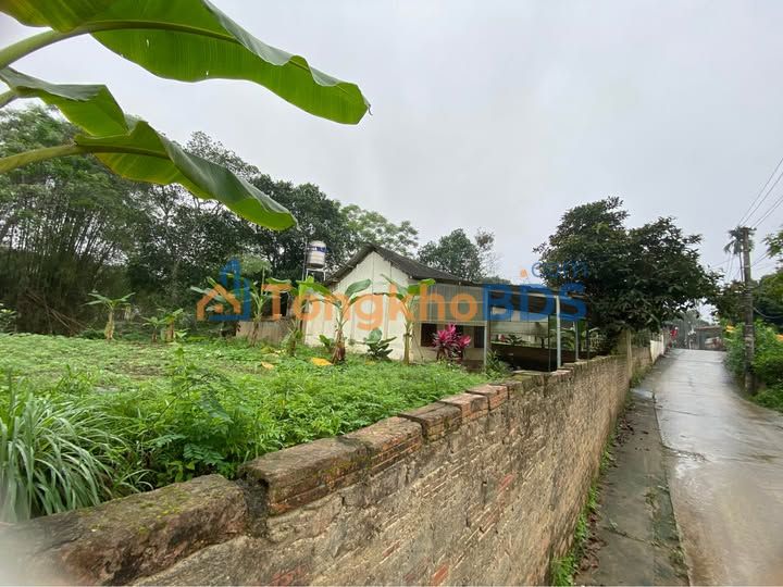 Đất nền Yên Ninh Yên Bái 83m² 650 triệu - Đất thổ cư 100%