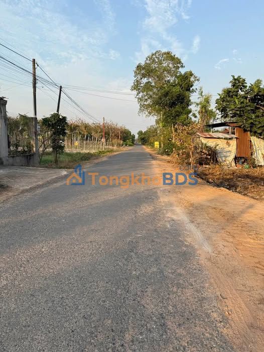 Bán Đất Mặt Tiền Nhựa Ninh Điền 250m² - Giá 2 Tỷ Xx