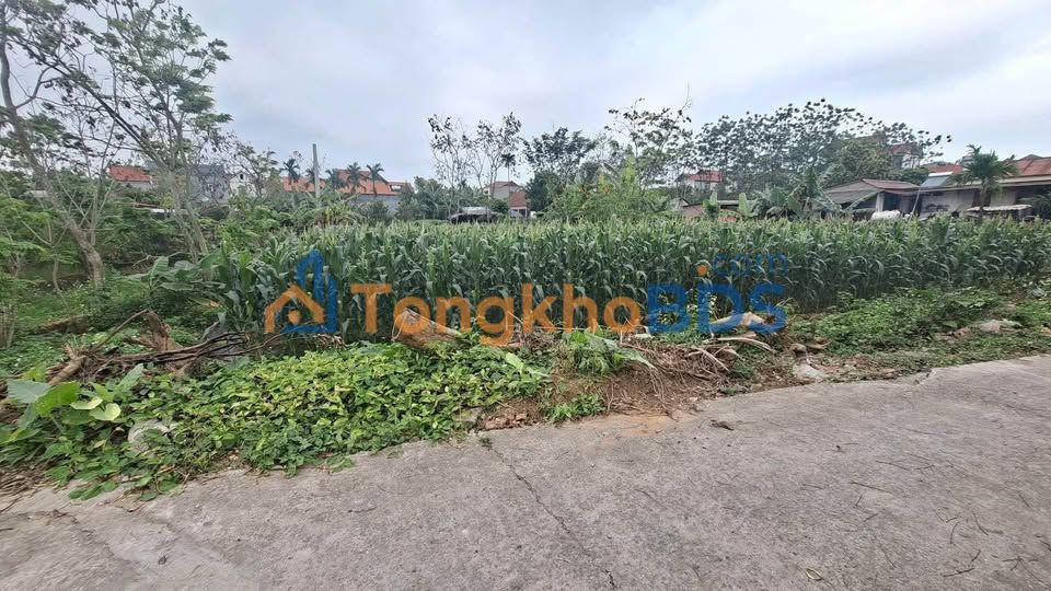 Đất Yên Thế, Bắc Giang 76m² Sổ Hồng Sẵn - Giá Đầu Tư 6xx Triệu