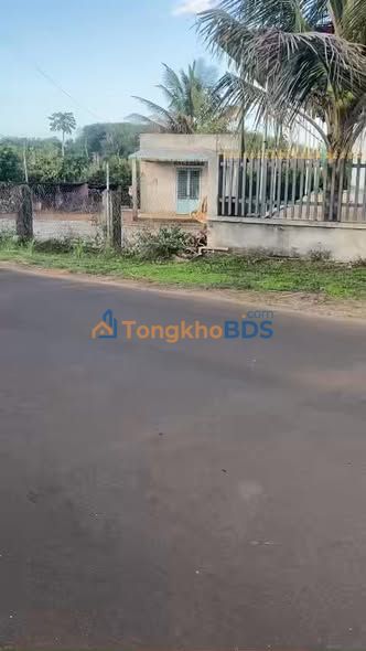 Đất Vườn Đắk Mil 7600m² - View Thoáng, Mặt Tiền Nhựa 10m - Giá 3.95 Tỷ