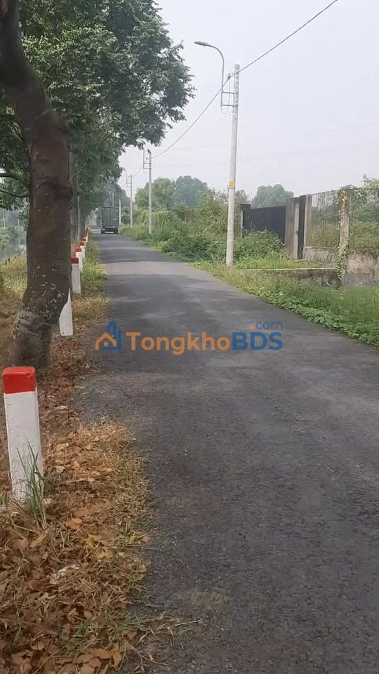 Bán Đất CLN Hoài Đức 3500m² Mặt Tiền Đường Nhựa 8 Tấn - Giá 21 Tỷ