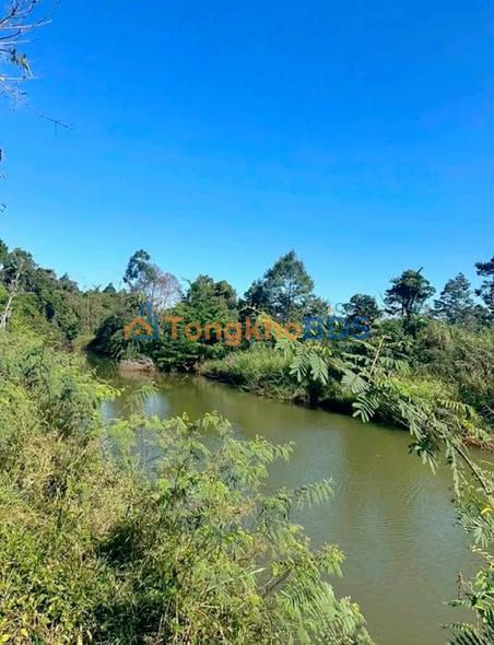 Đất nền Gia Nghĩa 1.188m² giá 3,5 tỷ - Sổ đỏ chính chủ