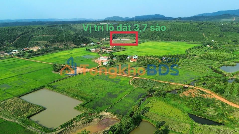 Bán Đất Nền 3700m² Phường Nghĩa Trung, Gia Nghĩa - Sổ Hồng Chính Chủ