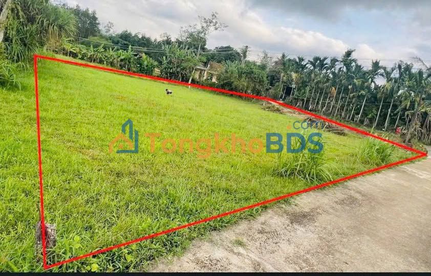 Đất Vườn Nghĩa Lâm 800m² - 550 Triệu, Sổ Đỏ Rõ Ràng