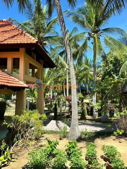 Bán Đất Tặng Nhà Mặt Tiền Đỗ Nhuận - Văn Cao, Hải An 100m² - 18 Tỷ