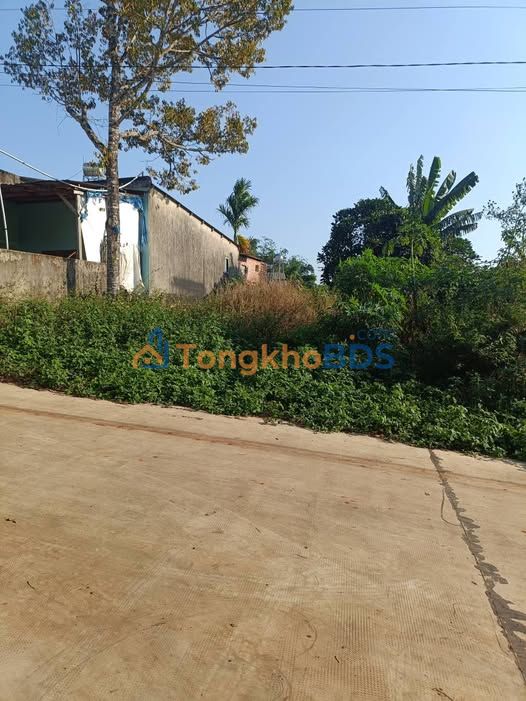 Bán Đất Hẻm 63 Nguyễn Trung Trực, Quy Nhơn - 100m² Sổ Đỏ, Ô Tô Tới Nhà