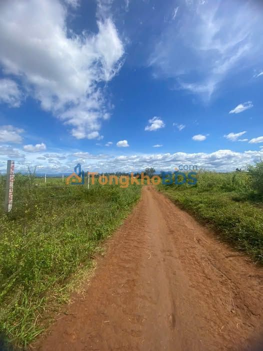 Đất Nền 665m² Hẻm Lý Chính Thắng, Quy Nhơn - Sổ Hồng, Giá Tốt