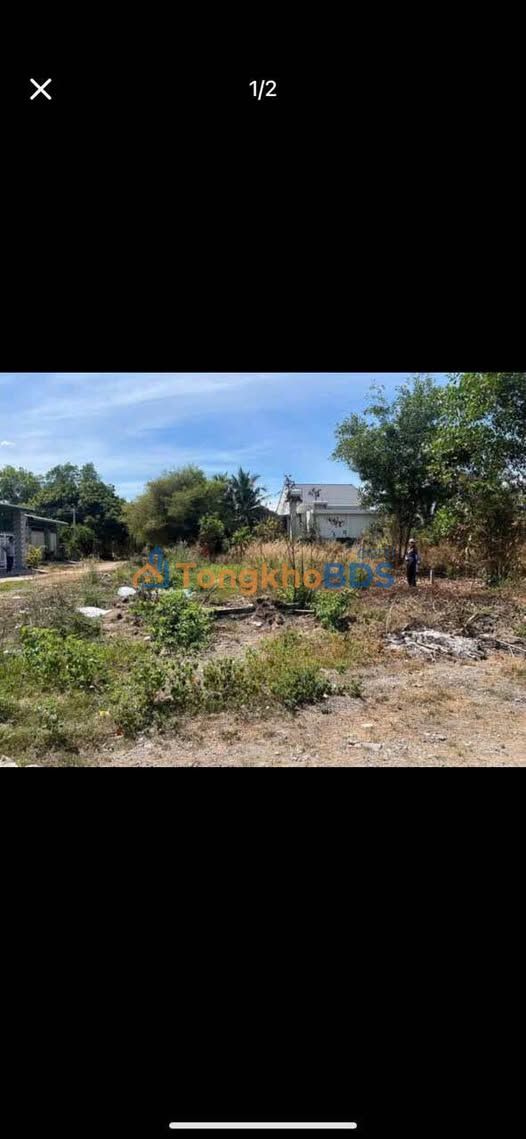 Bán Gấp Đất Vàng Góc 2 Mặt Tiền Trần Phú, Tây Ninh - 181.7m², Giá Đầu Tư