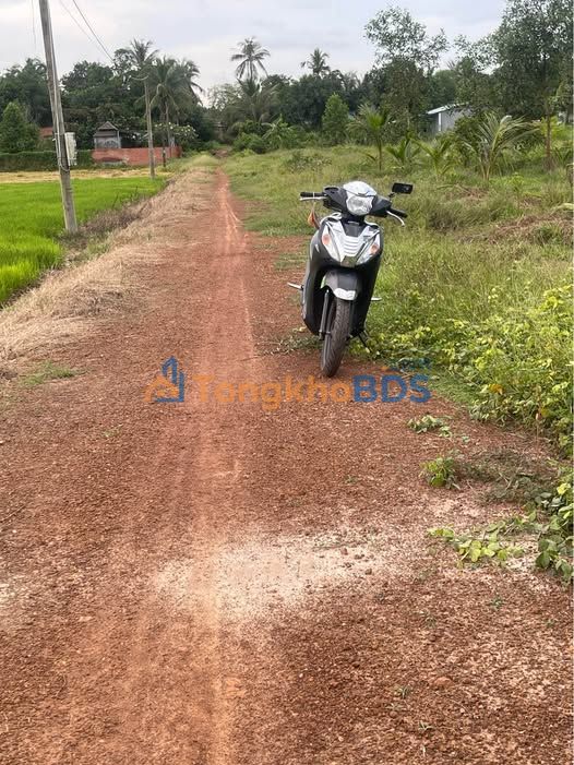 Đất Vườn Nghỉ Dưỡng 4.8ha Mặt Tiền 82m - Xã An Cơ, Tây Ninh