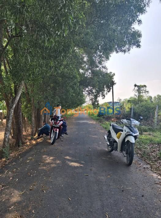 Bán Đất Củ Chi 121.2m² Mặt Tiền Đường Nhựa - Giá Ngộp 1.25 Tỷ