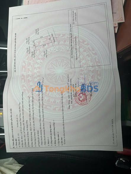 Bán Đất Nền Tề Lễ, Tam Nông, Phú Thọ - 200m²/ô, Sổ Đỏ Sẵn Sàng