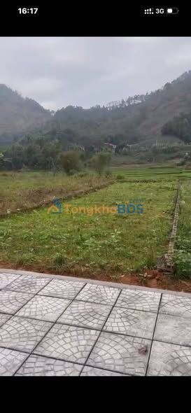 Đất nền Tân Phú, Phú Thọ 100m² full thổ cư - Vị trí trung tâm, đầu tư sinh lời