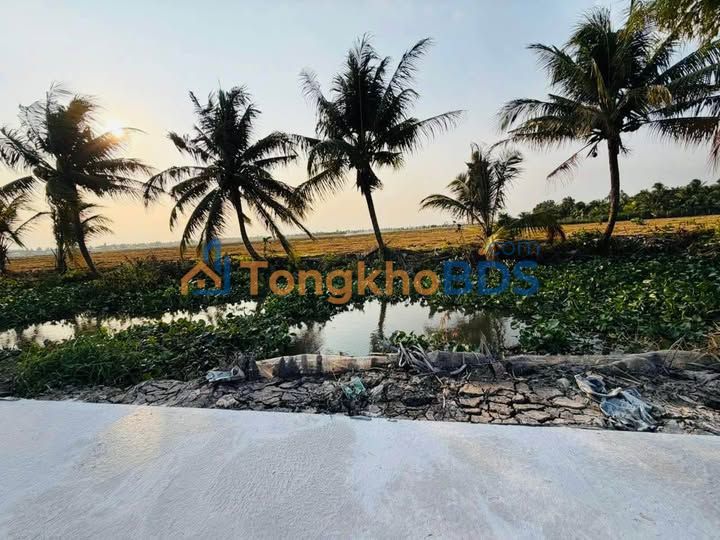 Đất Vườn Kiên Giang 2093m² - Sổ Đỏ Rõ Ràng, Giá Đầu Tư 490 Triệu