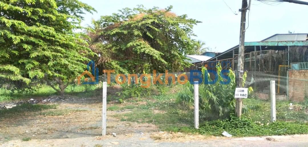 Đất nền Gò Công Đông Thầy Cai 1.105m² 8.84 tỷ - Pháp lý rõ ràng