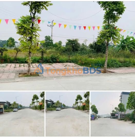 Đất đấu giá Lai Sơn - Vĩnh Yên 100m² mặt tiền 5m - Kinh doanh đắc lợi