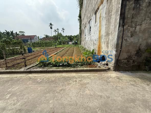 Bán Đất Thổ Cư Mỹ Đức 60m² - Sổ Đỏ Chính Chủ, Ngõ Ô Tô