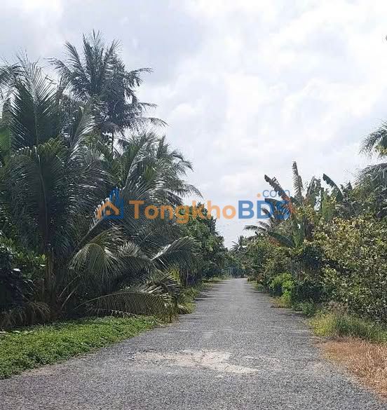 Đất nền Phú Xuân Bến Tre 6782m² 8.07 tỷ - Đường ô tô