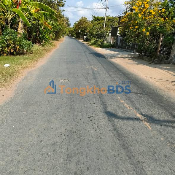 Đất Nền Mặt Tiền Đường Nhựa Lớn - 684 Triệu/245m² Tại Bình Đại, Bến Tre