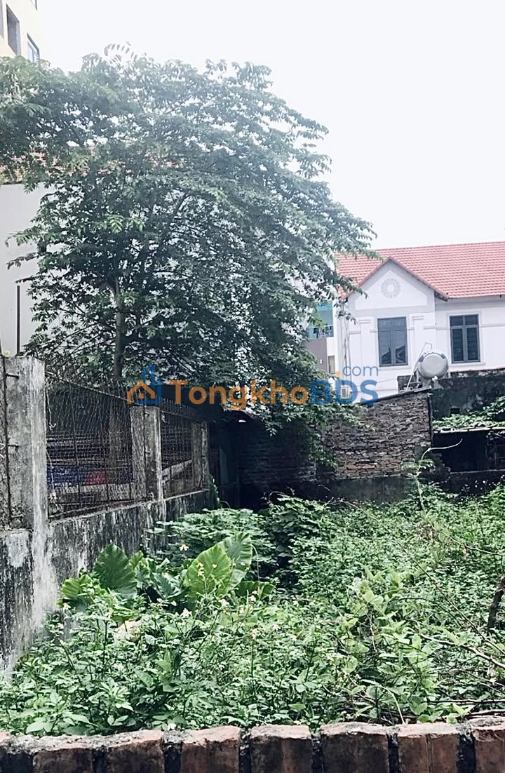 Đất nền Vân Canh 55m² - Sổ hồng vuông vắn, giá đầu tư F0