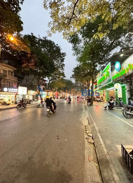 Nhà Mặt Phố Tô Hiệu Cầu Giấy - Lô Góc Kinh Doanh 48m² - Giá 16x Tỷ